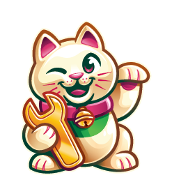 solo-cat-fc
